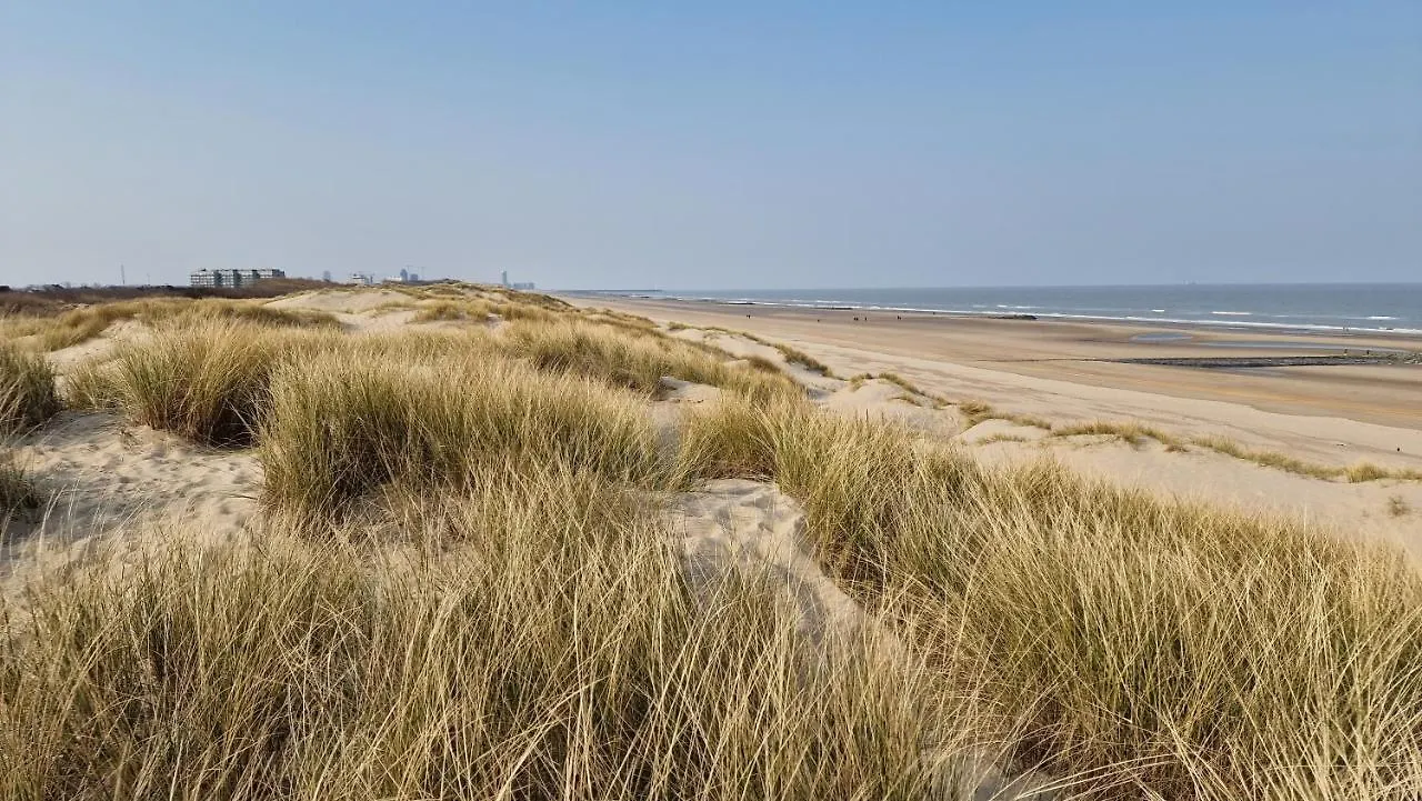 Vakantie appartement BePinay15 Bredene 0*,